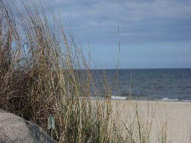 Holiday Apartment in Beckerwitz (Mecklenburgische Ostseekste) or holiday homes and vacation rentals