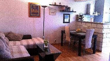 Holiday Apartment in Dubrovnik (Dubrovacko-Neretvanska) or holiday homes and vacation rentals
