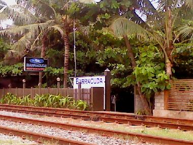 100m from the house-a seafood restaurant on the beach