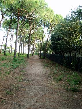 Holiday House in Cavallino-Treporti (Venezia) or holiday homes and vacation rentals