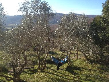 Holiday Apartment in Lucignano (Siena) or holiday homes and vacation rentals