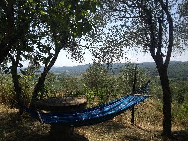 Holiday Apartment in Lucignano (Siena) or holiday homes and vacation rentals