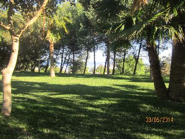 Holiday Apartment in Benalmadena (Mlaga) or holiday homes and vacation rentals