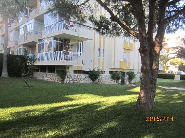 Holiday Apartment in Benalmadena (Mlaga) or holiday homes and vacation rentals