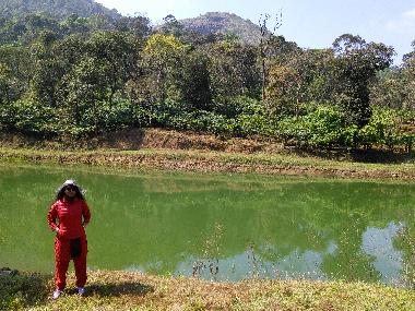 Bed and Breakfast in Virajpet (Karnataka) or holiday homes and vacation rentals