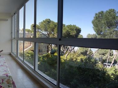 Holiday Apartment in Haifa (Hefa (Haifa)) or holiday homes and vacation rentals