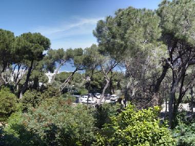 Holiday Apartment in Haifa (Hefa (Haifa)) or holiday homes and vacation rentals