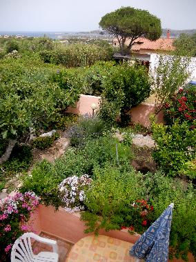 Holiday Apartment in la maddalena (Olbia-Tempio) or holiday homes and vacation rentals