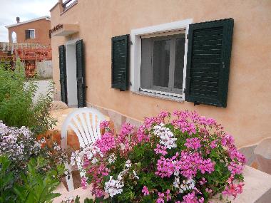 Holiday Apartment in la maddalena (Olbia-Tempio) or holiday homes and vacation rentals