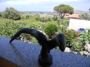 Holiday Apartment in la maddalena (Olbia-Tempio) or holiday homes and vacation rentals