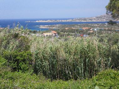 Holiday Apartment in la maddalena (Olbia-Tempio) or holiday homes and vacation rentals