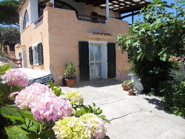 Holiday Apartment in la maddalena (Olbia-Tempio) or holiday homes and vacation rentals