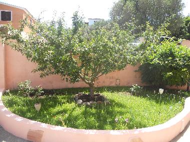 Holiday Apartment in la maddalena (Olbia-Tempio) or holiday homes and vacation rentals