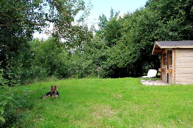 Holiday Apartment in 24392 (Ostsee-Festland) or holiday homes and vacation rentals