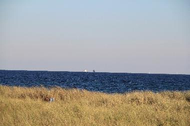 Holiday Apartment in 24392 (Ostsee-Festland) or holiday homes and vacation rentals