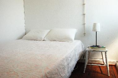 Holiday House in Pico Island (Azores) or holiday homes and vacation rentals