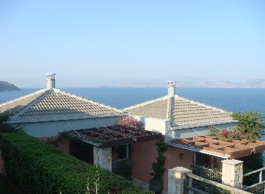 The house (the one on the left side)