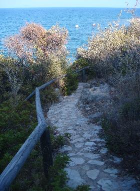 Private path leading to the beach down the hill
