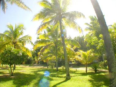 Holiday House in Grand Baie (Pamplemousses) or holiday homes and vacation rentals