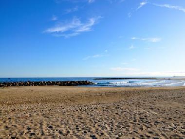 Holiday Apartment in Montpellier (H�rault) or holiday homes and vacation rentals