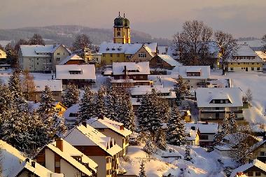 Holiday Apartment in St. MÃÂÃÂÃÂ¢ÃÂÃÂ¬rgen (Black Forest) or holiday homes and vacation rentals