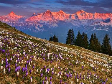 Holiday Apartment in B�nigen/Interlaken (Interlaken - Jungfrau) or holiday homes and vacation rentals