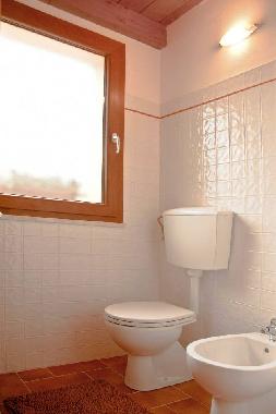 Holiday Apartment in Bibbona (Livorno) or holiday homes and vacation rentals