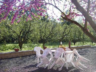 Holiday Apartment in Bibbona (Livorno) or holiday homes and vacation rentals
