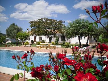 Villa in Lora del Rio (Sevilla) or holiday homes and vacation rentals