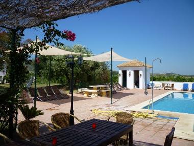 Villa in Lora del Rio (Sevilla) or holiday homes and vacation rentals