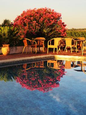 Villa in Lora del Rio (Sevilla) or holiday homes and vacation rentals