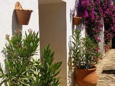 Villa in Lora del Rio (Sevilla) or holiday homes and vacation rentals