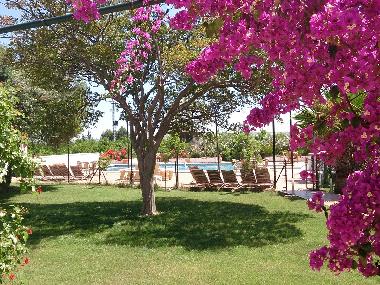 Villa in Lora del Rio (Sevilla) or holiday homes and vacation rentals