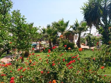 Villa in Lora del Rio (Sevilla) or holiday homes and vacation rentals