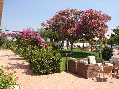 Villa in Lora del Rio (Sevilla) or holiday homes and vacation rentals