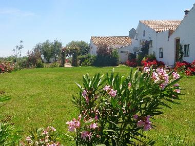 Villa in Lora del Rio (Sevilla) or holiday homes and vacation rentals