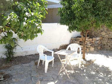 Seating under the citrus trees