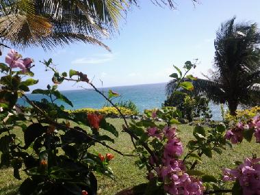 Holiday House in Goodwood (Tobago) or holiday homes and vacation rentals