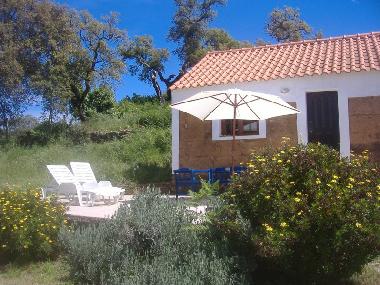 Holiday House in So Luis (Alentejo Litoral) or holiday homes and vacation rentals
