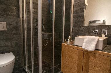 Chalet in Nendaz (Nendaz) or holiday homes and vacation rentals