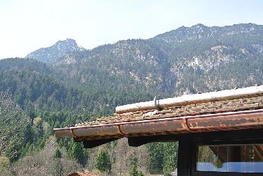 Holiday House in Garmisch-Partenkirchen (Upper Bavaria) or holiday homes and vacation rentals