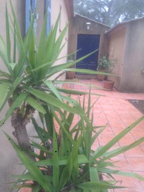 Holiday House in NIMES (Gard) or holiday homes and vacation rentals