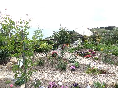 Garden with sea view