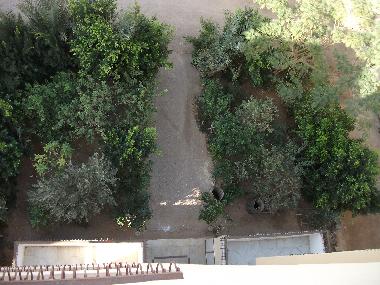 Holiday Apartment in Safaga (Al Bahr al Ahmar) or holiday homes and vacation rentals