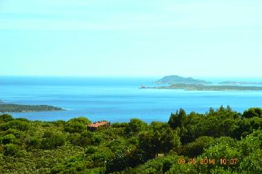Villa in San Pantaleo (Olbia-Tempio) or holiday homes and vacation rentals