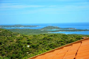 Villa in San Pantaleo (Olbia-Tempio) or holiday homes and vacation rentals