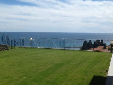 view from back of the terrace