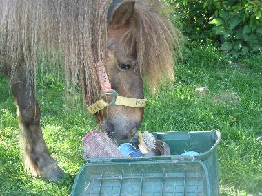 Holiday Apartment in Urweiler (St. Wendel) or holiday homes and vacation rentals