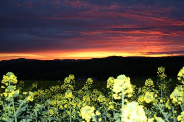 Holiday Apartment in Urweiler (St. Wendel) or holiday homes and vacation rentals