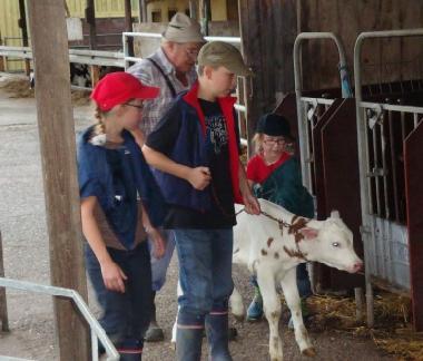 Holiday Apartment in Urweiler (St. Wendel) or holiday homes and vacation rentals